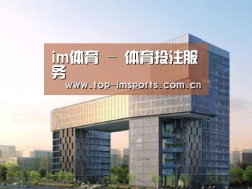 案例展示四