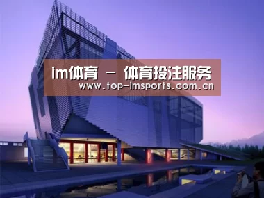 案例展示六