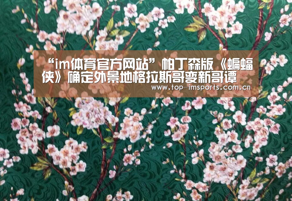 im体育官方网站