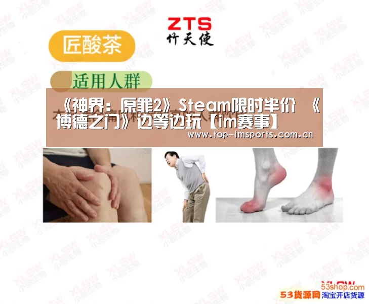 《神界:原罪2》Steam限时半价 《博德之门》边等边玩【im赛事】(图1) im体育官网