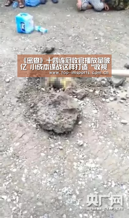 《密查》十四连冠收官播放量破亿 小成本谍战这样打造“收视王”-im体育官网(图1) im体育官方网站