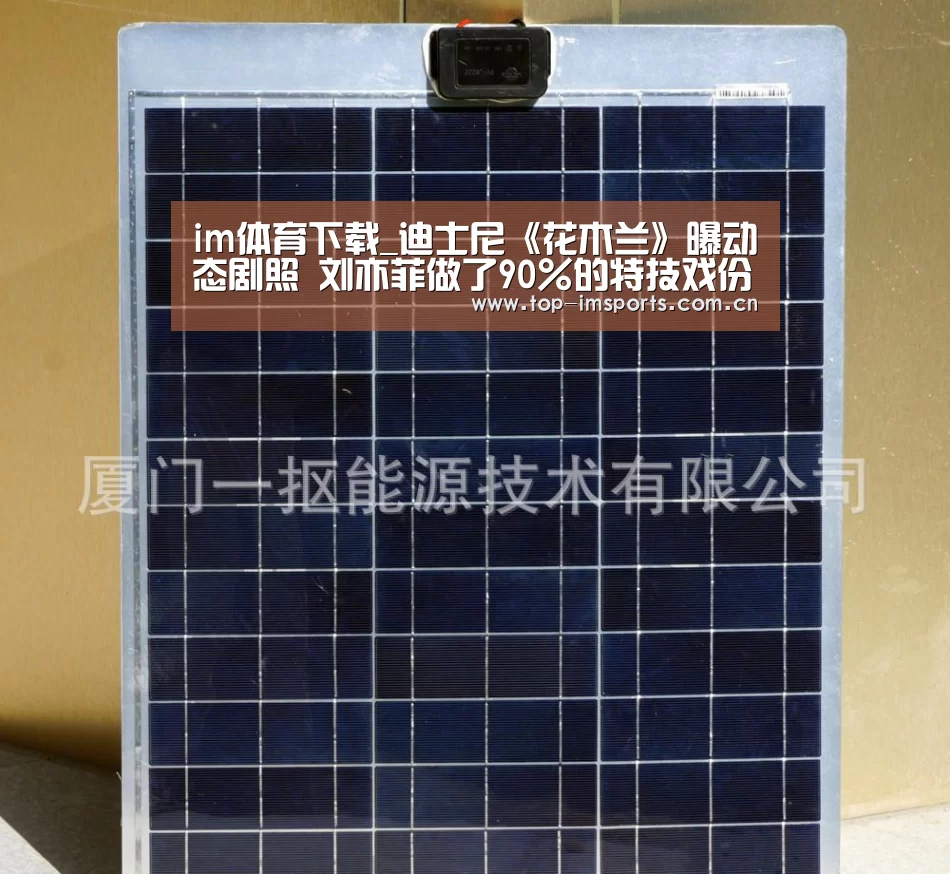 im体育下载_迪士尼《花木兰》曝动态剧照 刘亦菲做了90%的特技戏份(图3) im赛事